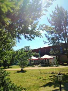 Hotels in Bronkow